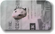 穴の中から